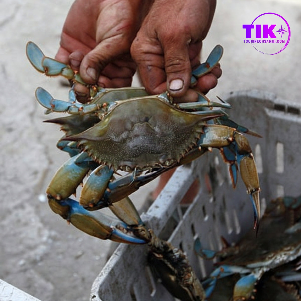 Fisherman Heritage Experience: The Most Authentic Tour in Koh Samui