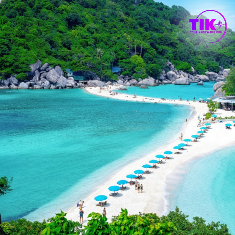 Koh Tao & Koh Nang Yuan Day Trip from Koh Samui: Is It Worth It in 2026?