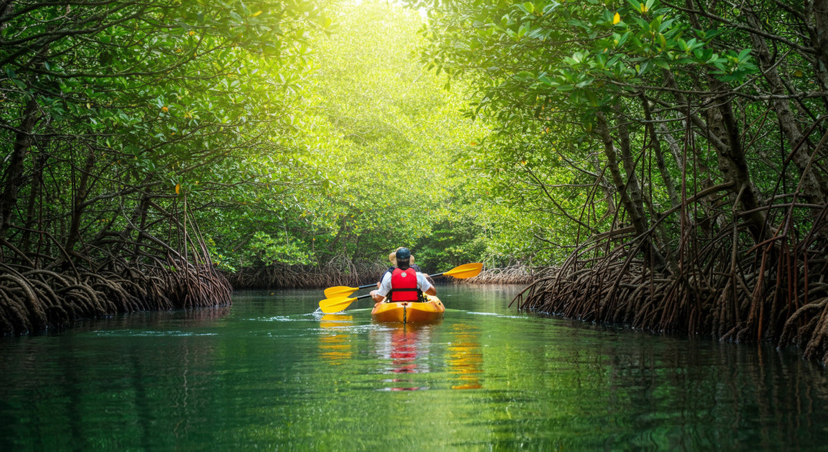 Kayaking in Koh Samui 2026: Sea Kayaking Tours, Routes & Tips