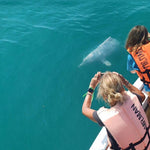 Khanom Coast Speedboat Adventure from Koh Samui - Pancake Rock & Beach Bliss 4