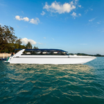 Pink Dolphin Tour from Koh Samui – Khanom, Pancake Rock & Pig Island