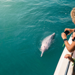 Pink Dolphin Tour from Koh Samui – Khanom, Pancake Rock & Pig Island 13