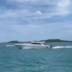 Pink Dolphin Tour from Koh Samui – Khanom, Pancake Rock & Pig Island 11