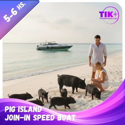 Pig Island & Koh Tan Snorkeling by Speedboat – Koh Samui Day Trip with Kayaking & Lunch