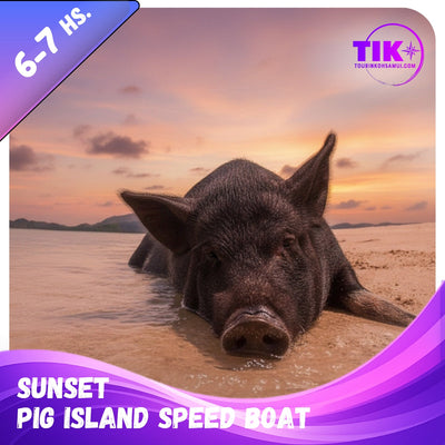Sunset Pig Island & Koh Tan Snorkel Trip from Koh Samui – Evening Boat Tour with Dinner