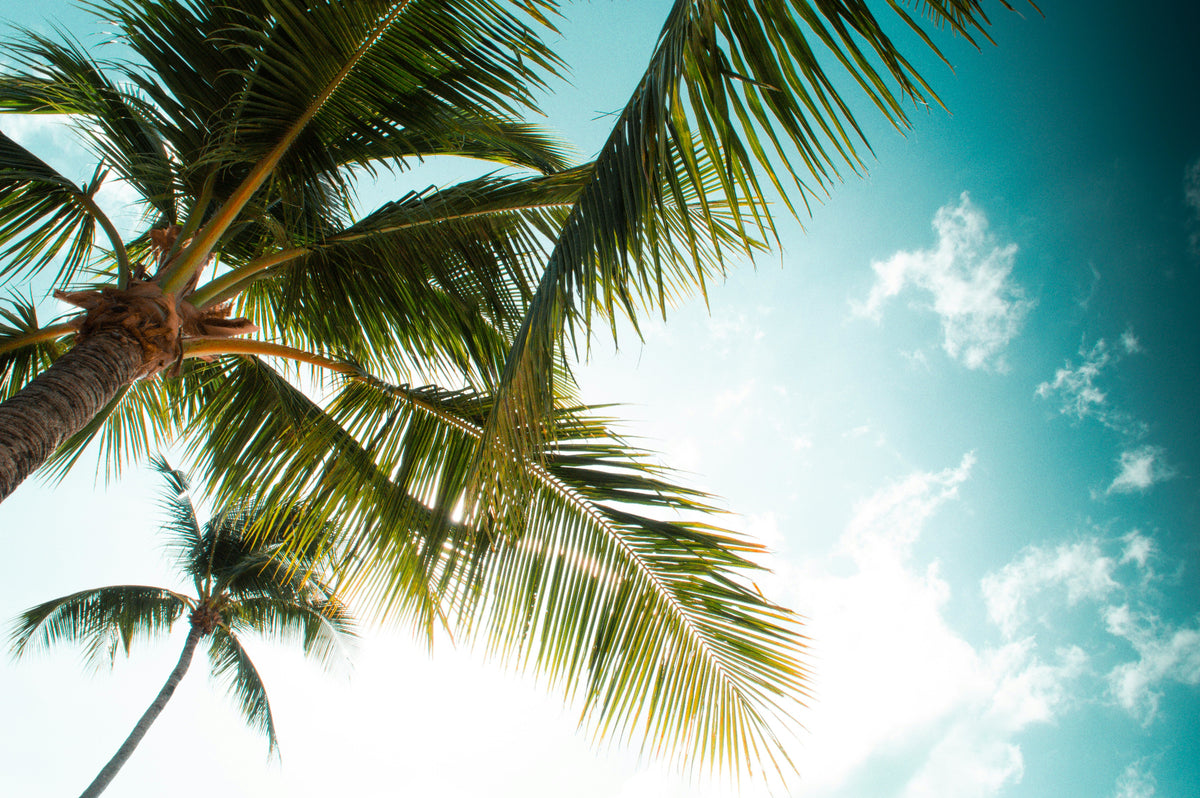 Explore the paradise