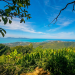 Advanced ATV Tour Koh Samui – 3‑Hour Off‑Road Jungle Expedition to Khun Si Waterfall 6