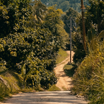 Advanced ATV Tour Koh Samui – 3‑Hour Off‑Road Jungle Expedition to Khun Si Waterfall 7