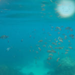 Angthong Marine Park Big Boat Tour from Koh Samui – Emerald Lagoon, Viewpoint, Snorkeling & Kayaking 10