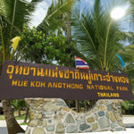 Angthong Marine Park VIP Speedboat Tour from Koh Samui – Emerald Lagoon, Viewpoint, Snorkeling & Kayaking 11