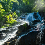 ATV Adventure Koh Samui – 2‑Hour Jungle Tour with Waterfall, Viewpoints & Mountain Temple 2