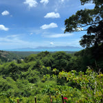 ATV Taster Tour Koh Samui – 1‑Hour Easy Jungle Drive for Beginners & Families 3