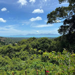 ATV Taster Tour Koh Samui – 1‑Hour Easy Jungle Drive for Beginners & Families 12