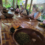 Elephant Food Package – Feeding Experience with Rescued Elephants in Koh Samui 6