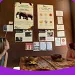 Elephant Food Package – Feeding Experience with Rescued Elephants in Koh Samui 3