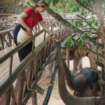 Elephant Shelter Sanctuary with Skywalk in Koh Samui - Transfer service Included 10