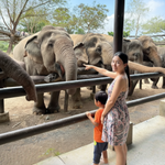 Elephant Shelter Sanctuary with Skywalk in Koh Samui - Transfer service Included 11
