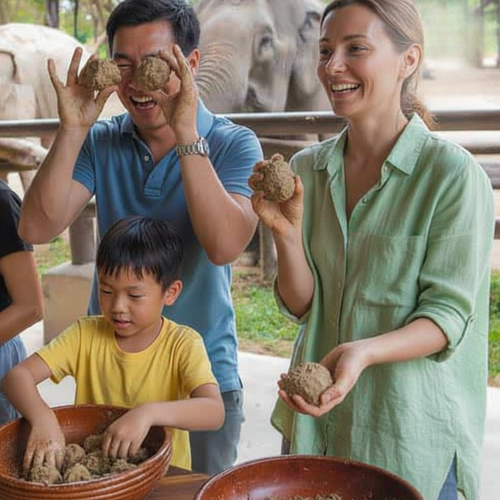 Elephant Shelter Sanctuary with Skywalk in Koh Samui - Transfer service Included 5