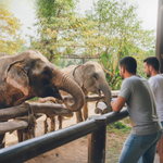 Elephant Shelter Sanctuary with Skywalk in Koh Samui - Transfer service Included 6