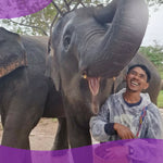 Elephant Shelter Sanctuary with Skywalk in Koh Samui - Transfer service Included 11
