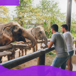 Elephant Shelter Sanctuary with Skywalk in Koh Samui - Transfer service Included 5