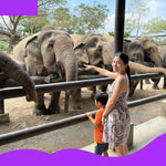 Elephant Shelter Sanctuary with Skywalk in Koh Samui - Transfer service Included 7