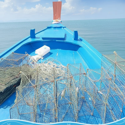 Authentic Fisherman Heritage Unique Experience: Kayaks & Ethical Pig Island from Koh Samui — TourInKohSamui.com — clean photo 3