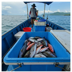 Full‑Day Fishing & Swimming Boat Trip from Koh Samui – Traditional Boat with Lunch & Transfers