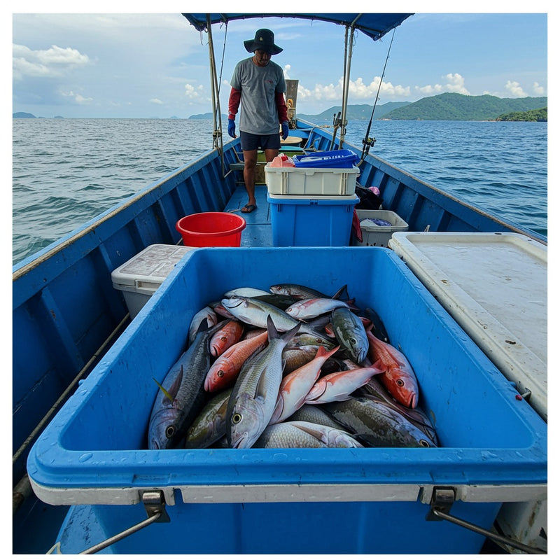 Full‑Day Fishing & Swimming Boat Trip from Koh Samui – Traditional Boat with Lunch & Transfers