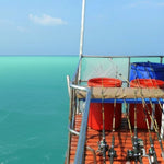 Full‑Day Fishing & Swimming Boat Trip from Koh Samui – Traditional Boat with Lunch & Transfers 5