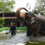 Koh Samui Home of Elephants  – Half‑Day Ethical Sanctuary Visit with Feeding, Mud Bath & Vegetarian Lunch 4
