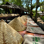 Koh Samui Home of Elephants  – Half‑Day Ethical Sanctuary Visit with Feeding, Mud Bath & Vegetarian Lunch 10