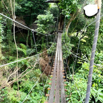 Koh Samui Zipline Adventure – Jungle Canopy Experience with Hotel Transfers 6