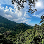 Koh Samui Zipline Adventure – Jungle Canopy Experience with Hotel Transfers 2