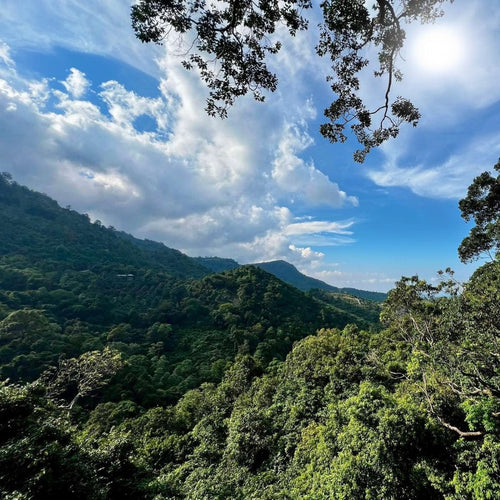 Koh Samui Zipline Adventure – Jungle Canopy Experience with Hotel Transfers 2
