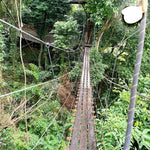 Koh Samui Zipline Adventure – Jungle Canopy Experience with Hotel Transfers 6