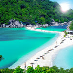 Koh Tao & Koh Nang Yuan Snorkeling Day Trip from Koh Samui – Reefs, Viewpoint & Sandbar Beaches 9