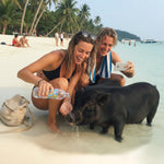 Pig Island & Koh Tan Snorkeling by Speedboat – Koh Samui Day Trip with Kayaking & Lunch 1