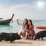 Pig Island & Koh Tan Snorkeling by Speedboat – Koh Samui Day Trip with Kayaking & Lunch 2