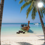 Pig Island VIP Longtail Boat Tour with Snorkeling at Koh Tan – Small Group From Koh Samui 5
