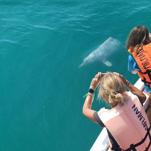 Pink Dolphin Tour from Koh Samui – Khanom, Pancake Rock & Pig Island 4