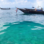 Private Koh Tan & Pig Island Snorkeling Charter – Longtail Half‑Day boat from Koh Samui 6