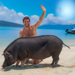 Private Koh Tan & Pig Island Snorkeling Charter – Longtail Half‑Day boat from Koh Samui 10