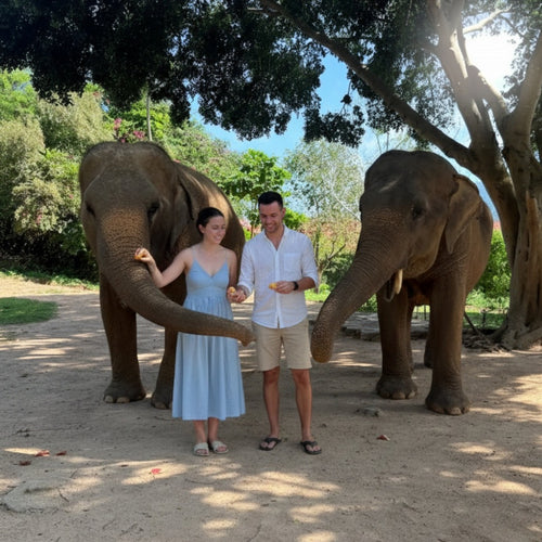 Samui Elephant's Sanctuary  – Half‑Day Ethical Elephant Experience with Feeding & Vegetarian Meal 4