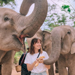Samui Elephant's Sanctuary  – Half‑Day Ethical Elephant Experience with Feeding & Vegetarian Meal 6