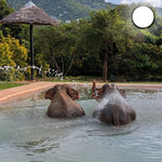 Samui Elephant's Sanctuary  – Half‑Day Ethical Elephant Experience with Feeding & Vegetarian Meal 9