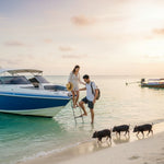 Sunset Pig Island & Koh Tan Snorkel Trip from Koh Samui – Evening Boat Tour with Dinner 9