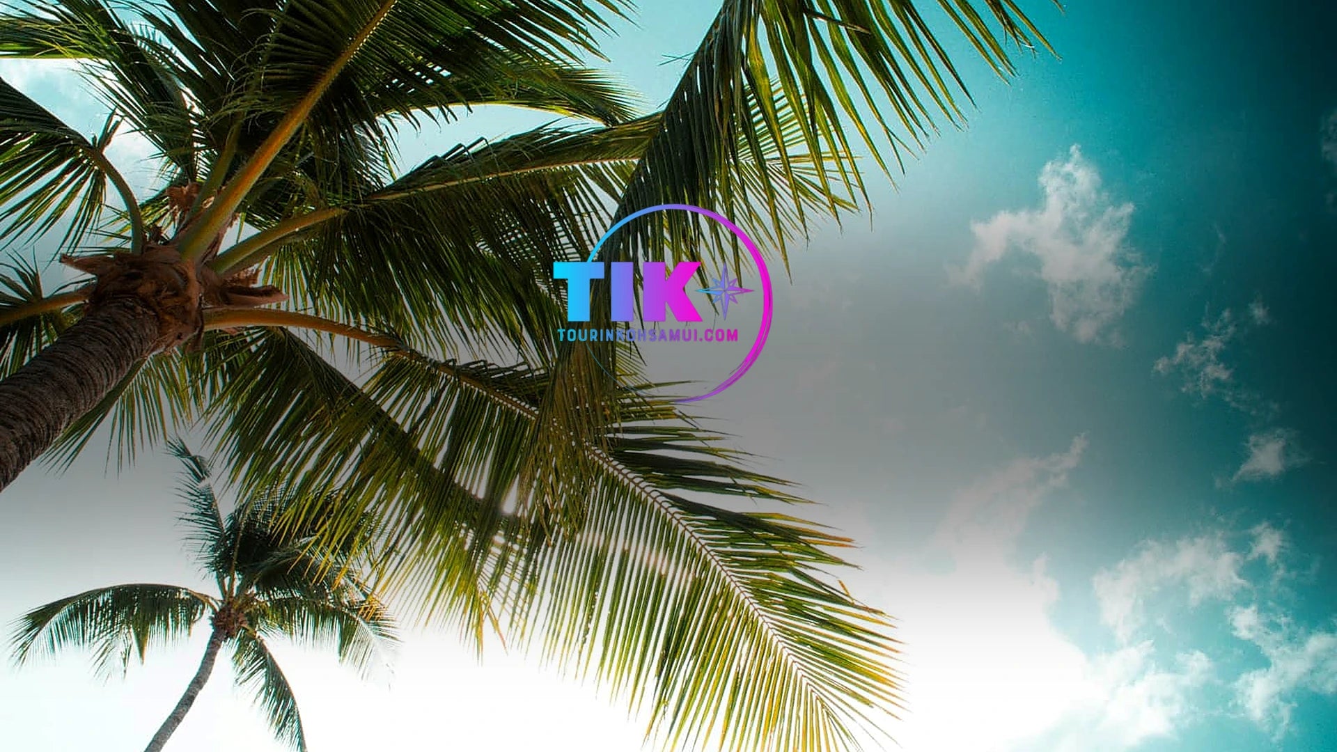 www.TourInKohSamui.com